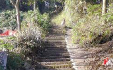 ��ɽ�̰�����5ƪ