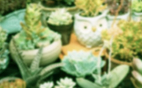 ���Ի��ܰ�������������