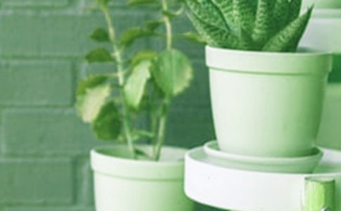 �����ӻ�������������ʲô