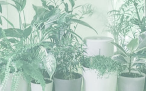 ����ʯ���Ľ�ˮ����