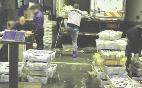 ������ʳ�ֿ�����ƶȣ�ͨ��5ƪ��