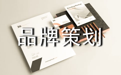 经典品牌策划书模板