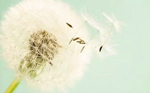 �й���д�ѹ�Ӣ�ľ���