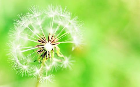 ���ѹ�Ӣ���̰�