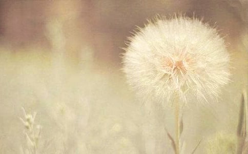 �ѹ�ӢΨ���⾳����