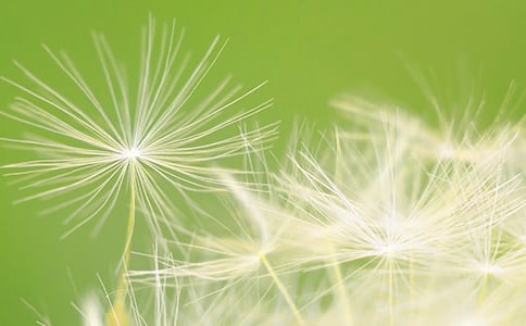 ��д�ѹ�Ӣ���������Ӻϼ�