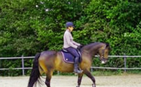 �����Ķ����⼰��