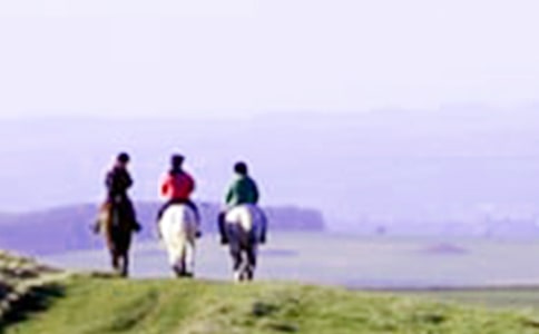 �и����ʺ�Ǳˮ�������˶�