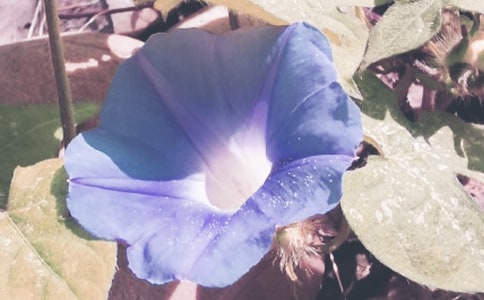 ǣţ�����꼶�ռ�