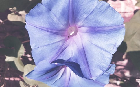 ������ǣţ���κ�˼