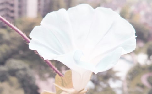 ʧ���ǣţ������ʫ��