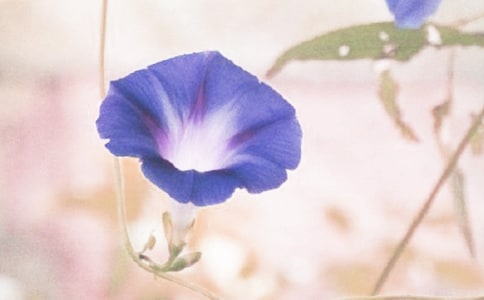 ������ǣţ���κ�˼���ϼ�6ƪ��