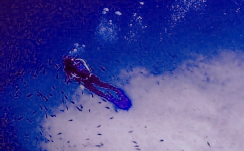 Ǳˮ������