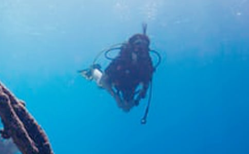 Ǳˮ����ʫ��