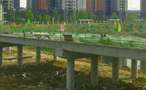 我为祖国的'桥梁点赞