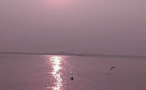 ���ػʵ����ĳ��ã�5ƪ��