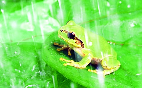 �����������ܵľ���