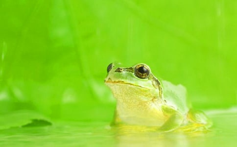 �յ������ܵ���������Щ