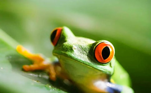 ���ܼ�������ֽͼ��