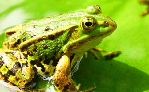 �Ҽҵ������ռ�350��