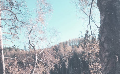 2020年秋季学期三年级书法教学计划