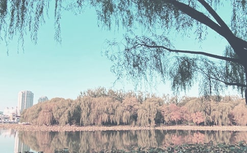 ����＾�����̰�����ѡ11ƪ��