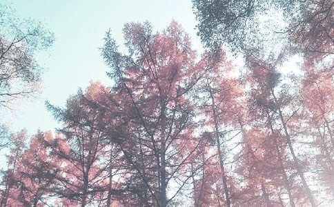 小学秋季工作计划