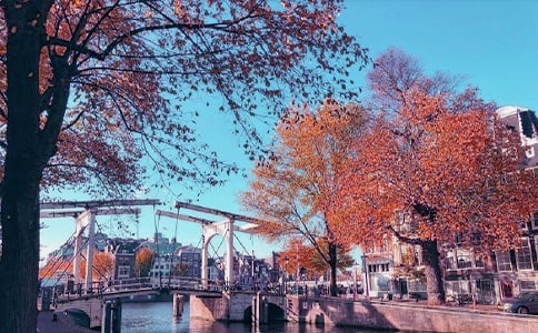 ���ջƻ����