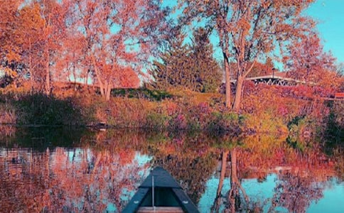 ������ʫ�����ո�����������¥��