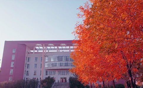 �����ո�����������¥��ʫ������