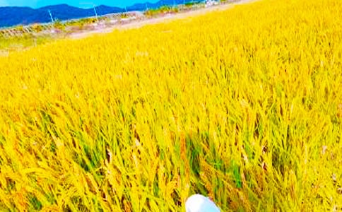 �������յ�ʫ��