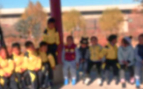 大班美术教案:秋游