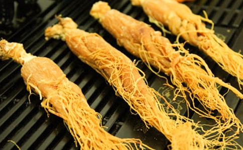 �����͵ʳ�˲ι����Ľ̰����