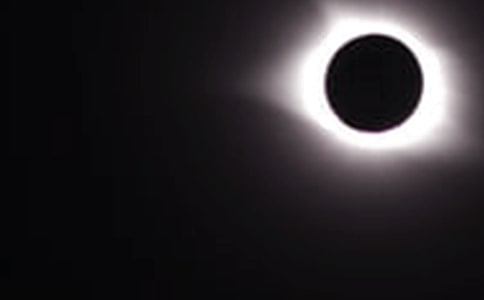 �����۲���ʳ���꼶�ռ�400��