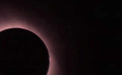 ����ʳ����ʳ���Ľ�ѧ��˼