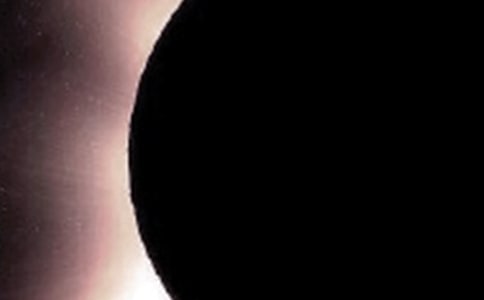 �̿ư����¿�ѧ����ʳ����ʳ���̰�