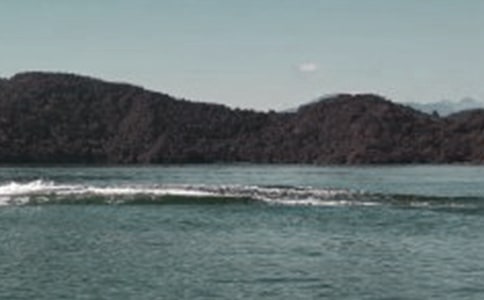 ������̶���κ�˼