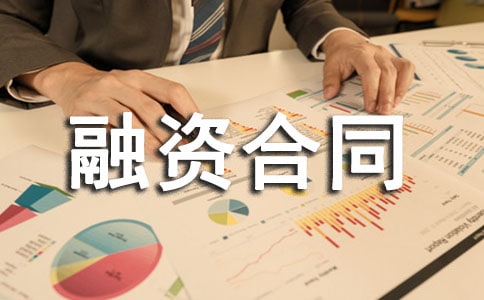 战略性融资合同范本3篇