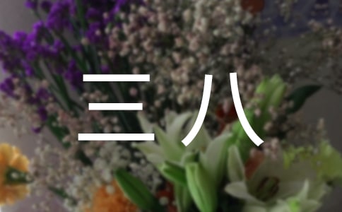 三八红旗手事迹材料总结