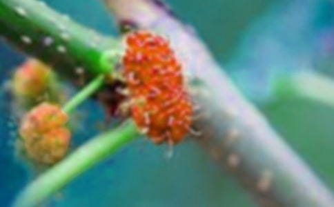 �����㣩ժɣ������11ƪ