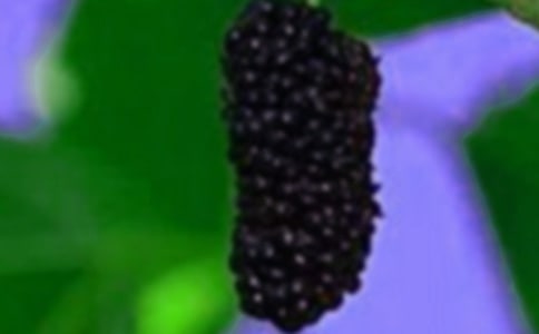 ժɣ��400������