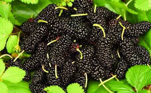 ɣ�ص����ģ�ͨ��36ƪ��