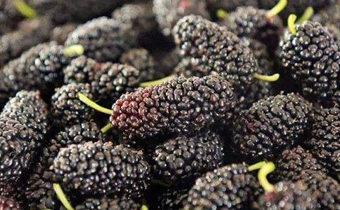 ɣ����ʲôӪ����ֵ������