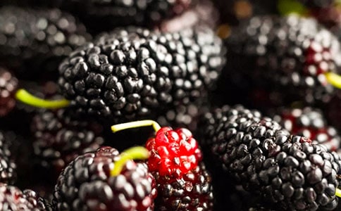 ɣ�ص�ζ������