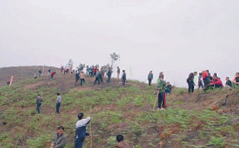 ɨĹ������13ƪ���ر���