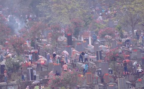 ɨĹ����������15ƪ