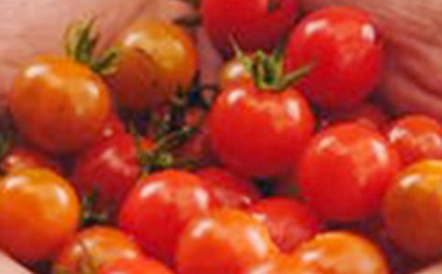 ʥŮ������Щ��ֲ����