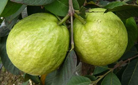 ����ӽʯ��ԭ�ġ����뼰����