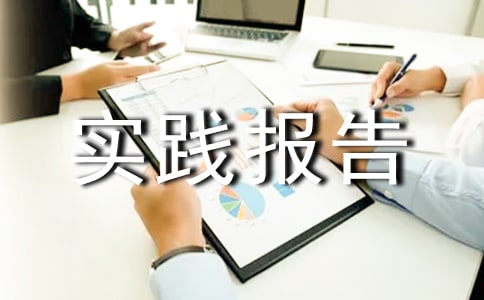旅游工作社会实践报告