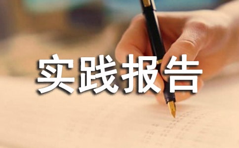 高中生社会实践报告(通用11篇)